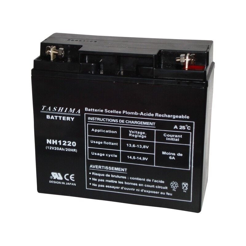 Batterie 12v 20a