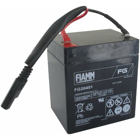 Batterie 12v 4,5a CASTELGARDEN - GGP 118120064/0