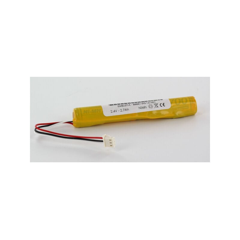 Exalium Premium - Batterie 2.4V 2.7Ah nimh pour Polygraphe embletta gold
