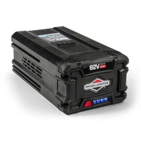 Batterie BRIGGS ET STRATTON 1760967