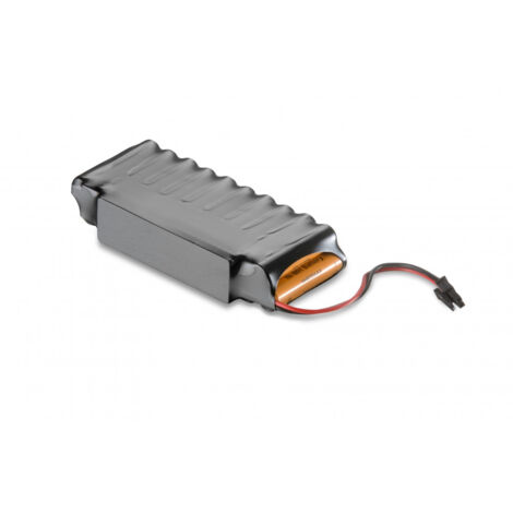 Batterie De Secours 24 V 700 Mah Accu Pour Pro+/Base+/Tiga APERTO SOMMER