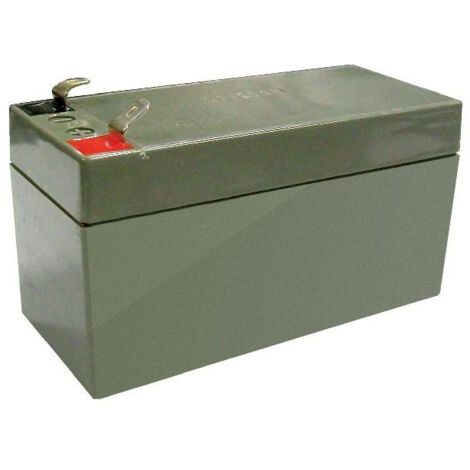 Batterie de secours NP6-12 12V 7A CAME 3199PNP612