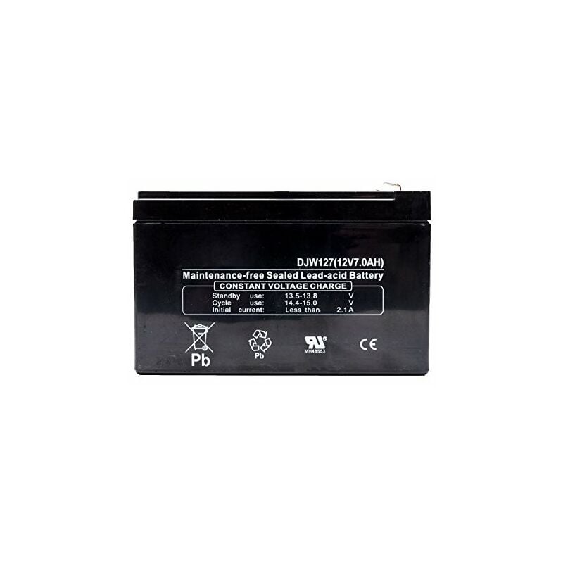 Batterie DJW127 + à gauche pour CASTELGARDEN - FLYMO - ROVER - WOLF