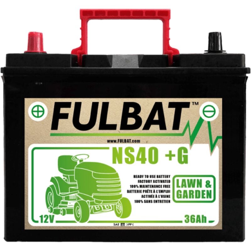 Fulbat - batterie NS40 (+g) Ca/Ca 12V 36 Ah 195-126-221 + / -