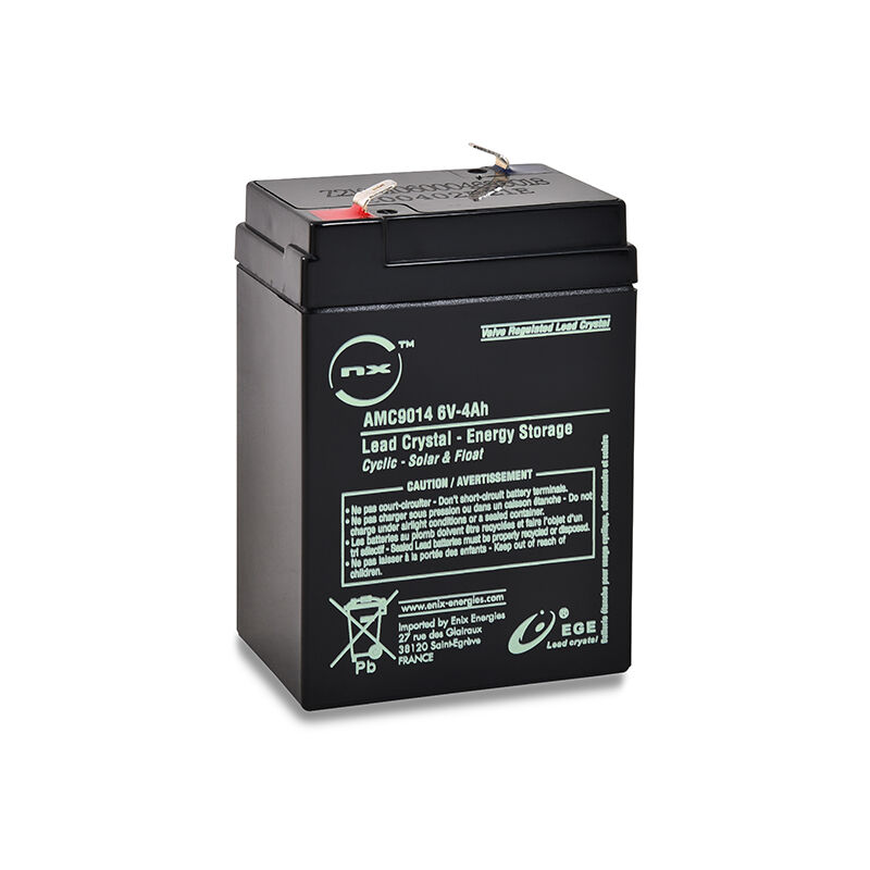 Batterie lead crystal 3-CNFJ-4 6V 4Ah F4.8 - NX