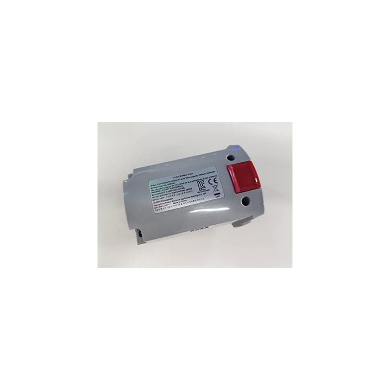 Batterie au lithium 22,2 v pour Aspirateur rowenta FS-9100039576
