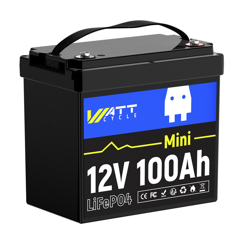 Batterie LiFePO4 12V 100Ah Mini batterie LiFePO4 avec cellule LiFePO4 de qualité a, protection de coupure basse température, batterie au lithium 12 v