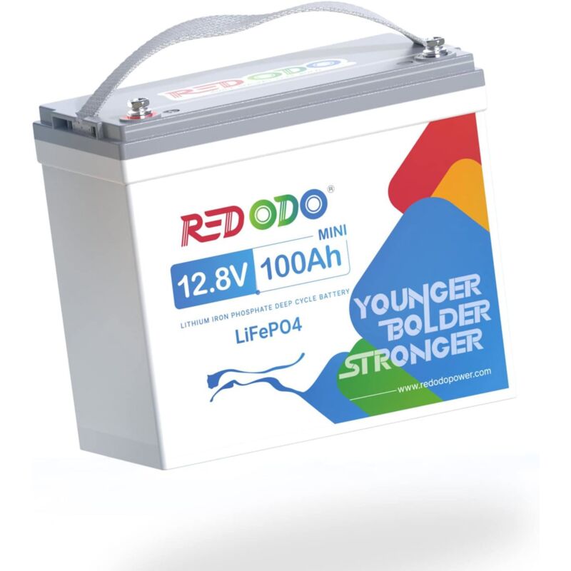Batterie au Lithium LiFePO4 12V 100Ah mini, Pour les boîtiers de taille Groupe 24, 100A bms, 4000-15000 cycles, idéal pour systèmes solaires,