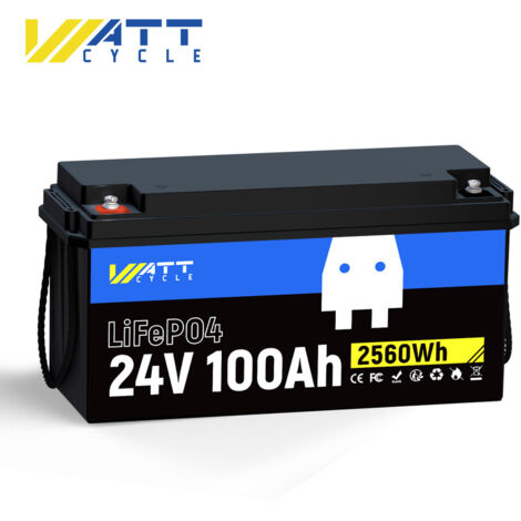 Batterie LiFePO4 12V 100Ah Avec BMS - Pour Camping-car, Solaire, Marine, étanche IP65 - 2