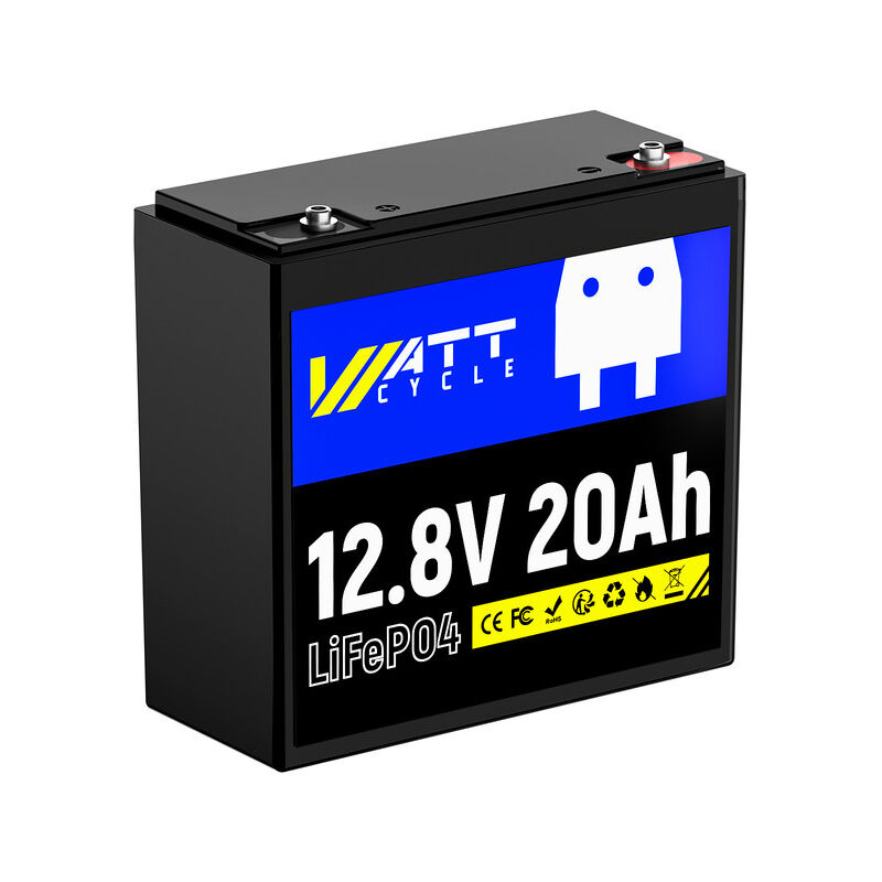 Batterie lithium 12V 20Ah jusqu'à 15000 cycles et protection bms Batterie LiFePO4 portable rechargeable parfaite pour le camping en plein air, le