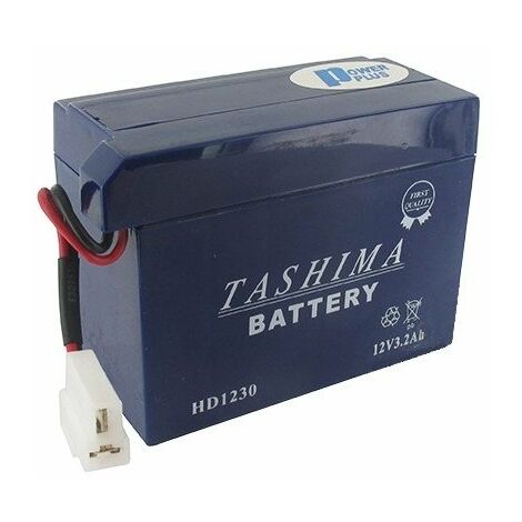 Batterie moto HD1230 12V 30Ah – Connexion spéciale pour HONDA – Adaptable – Technologie avancée pour performance optimale – Tashima