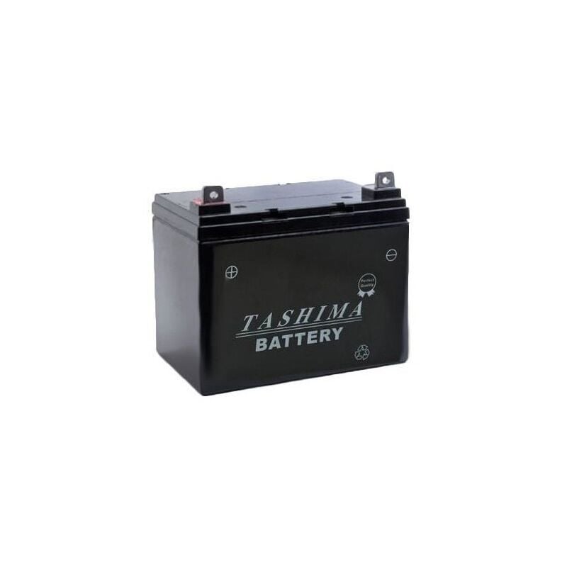 Batterie TASHIMA gel/agm 100% étanche 12V, 22A pour tondeuse autoportée. L: 195, l: 130, h: 180, + à droite. - Batterie à mettre