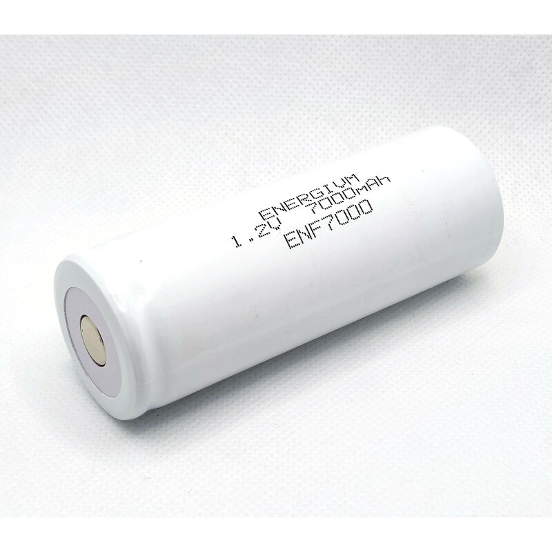 Energivm - Batterie Nicd 1,2v 7000mah 33x91mm Enf7000