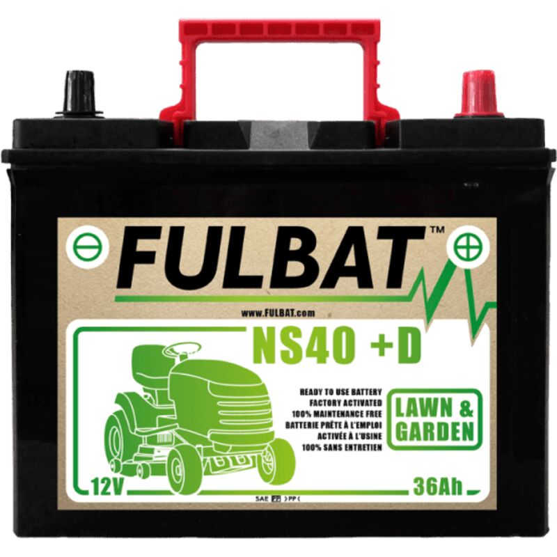 Fulbat - batterie NS40 (+d) Ca/Ca 12V 36 Ah 195-126-221 - / +