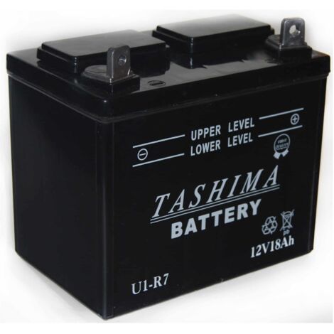 Batterie plomb 12V 18Ah pour tondeuse autoportée – Dimensions 195x130x185mm – Positif à droite – Livrée sans acide