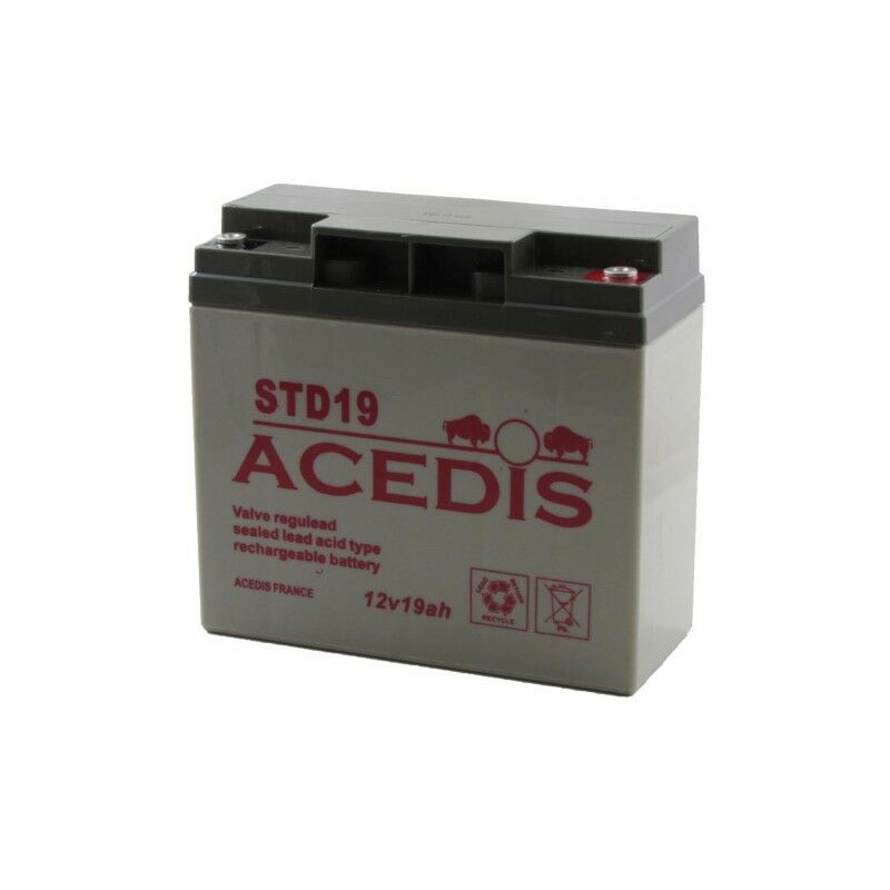 Batterie Plomb acedis STD19 - 12V 18.5AH