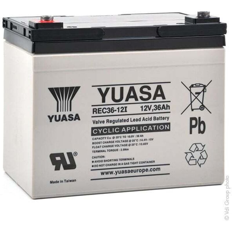 Yuasa - Batterie plomb agm REC36-12I 12V 36Ah M5-F