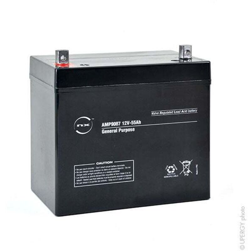 NX - Batterie plomb agm 55-12 General Purpose 12V 55Ah M6-M