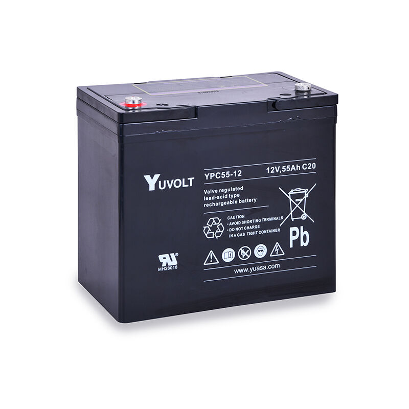 Yucel - Batterie plomb agm YPC55-12 12V 55Ah M6-F