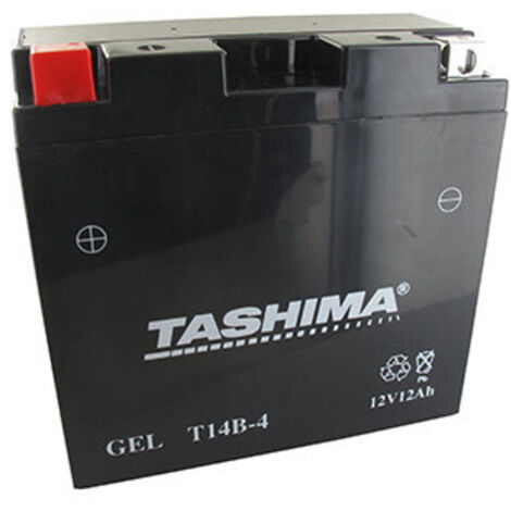 Batterie Plomb étanche 12v Gel/agm, 12a. L: 152, L: 70, H:145mm, + à Gauche Pour Motos. - Batterie à Mettre En Acide Avant D'êtr