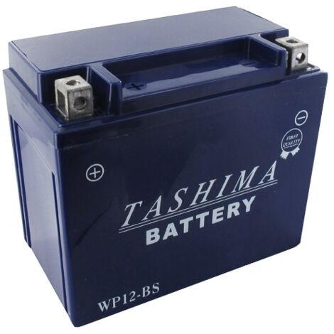 Batterie plomb étanche gel/agm 12V WP, 10A. L: 152, L: 88, H:131mm, + à gauche. - Batterie à mettre en acide avant d'être délivr