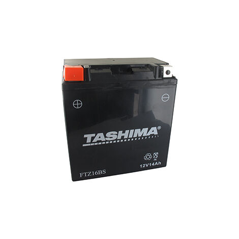 Batterie Plomb étanche Sans Entretien Prête à L'emploi 12v, 14a. L: 150, L: 86, H:161mm, + à Gauche Pour Motos, Quads Et Motocul