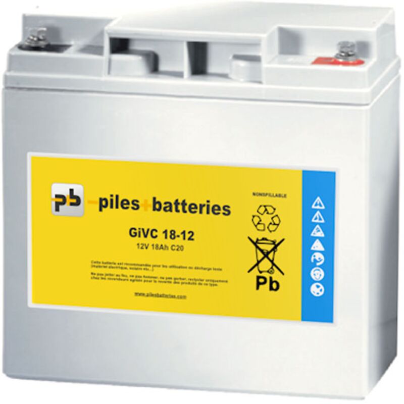 Enersys - Batterie plomb gel 12V 18Ah M5 DGY12-18EV