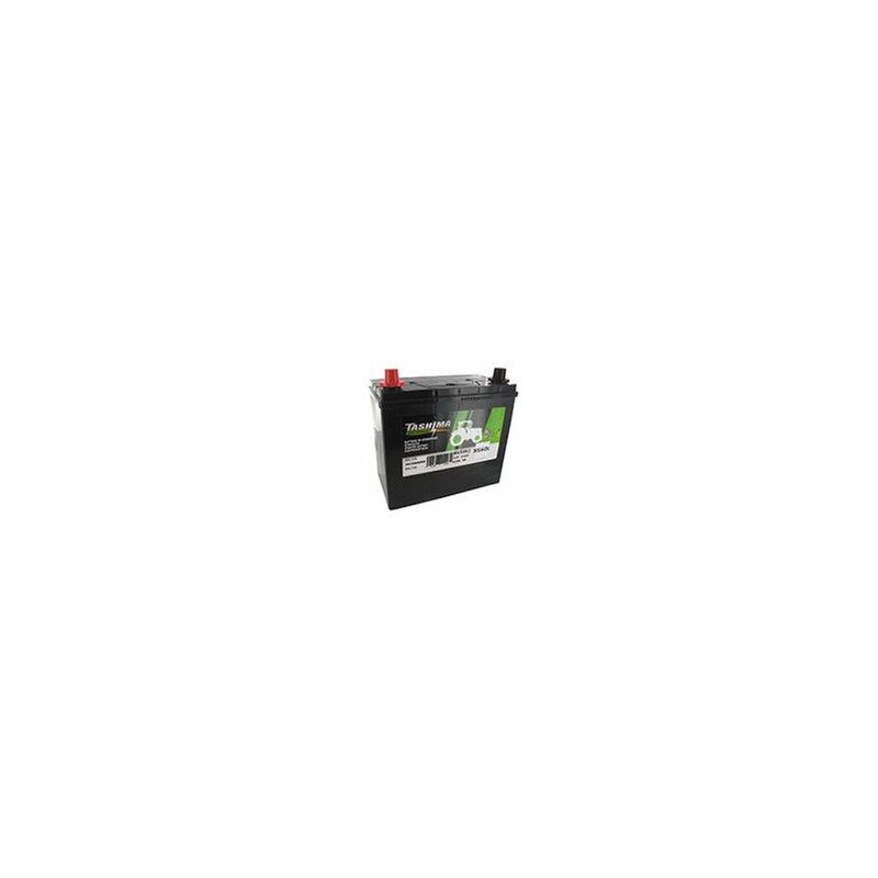Batterie plomb TASHIMA Pb Ca/Ca, sans entretien, pour tondeuse autoportée 12V, 45A. L: 235, l: 128, H:225mm, + à gauche avec bor