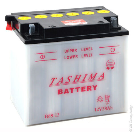 Batterie Plomb Tashima Pour Tondeuse Autoportée 12v, 28a. L: 180, L: 125, H:165mm, + à Gauche. (livrée Avec Acide Séparé). - Bat