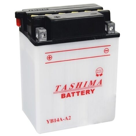Batterie Plomb Tashima Renforcée 12v, 14a Pour Autoportée. L: 134, L: 89, H: 176mm, + à Gauche Pour Motoneige, Quads, Utilitaire