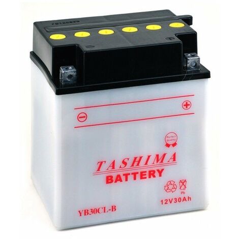 Batterie plomb TASHIMA renforcée 12V, 30A. L: 168, l: 132, H: 192,2mm, + à droite pour jet-ski. (livrée avec acide séparé). - Ba