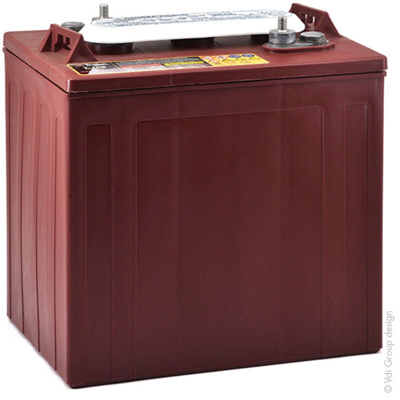 Trojan - Batterie traction TROJAN T-105 6V 225Ah M8-M