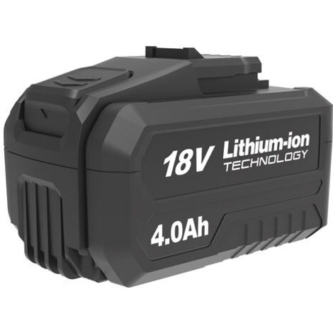 VIVAHOGAR Batterie pour outillage électroportatif 18V 4Ah WS9940