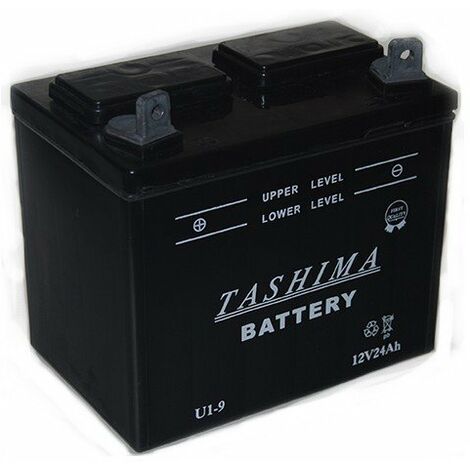 Batterie pour tracteur tondeuse 12V U1L9 – Capacité 24Ah – Borne positive à gauche – Longueur 195mm – Compatible avec plusieurs marques