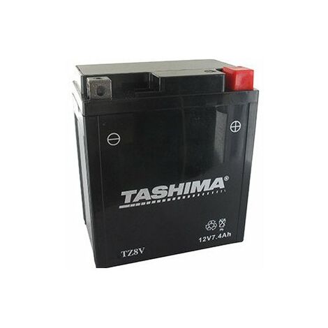 Batterie Renforcée Et Sans Entretien (agm) 12v, 7a. L: 113mm, L: 70mm, H: 130mm, + à Droite. - Batterie à Mettre En Acide Avant