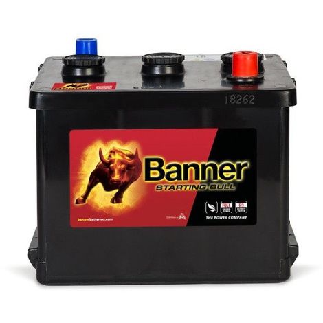 Batterie Starting Bull Banner 07718 6v 77ah 450A