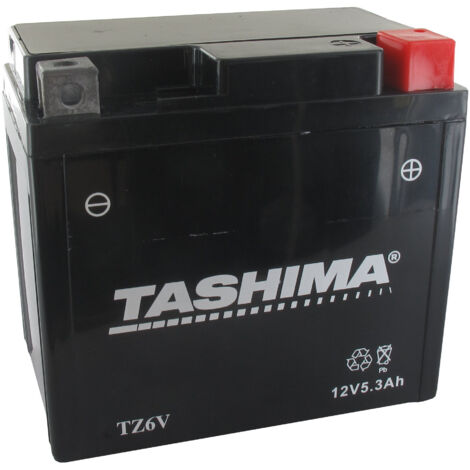 Batterie TASHIMA FTZ6V