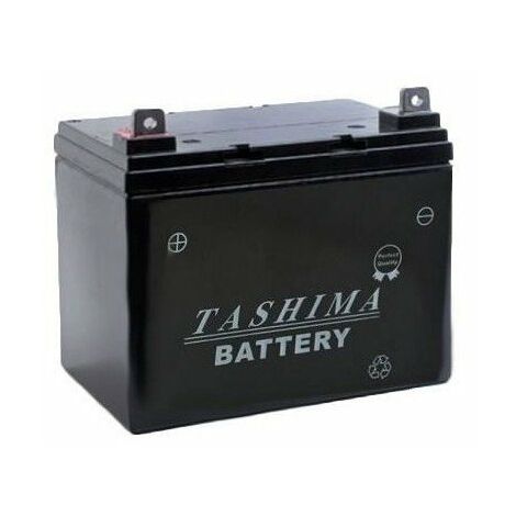 Batterie Tashima Gel/agm 100% étanche 12v, 22a Pour Tondeuse Autoportée. L: 195, L: 130, H: 180, + à Droite. - Batterie à Mettre