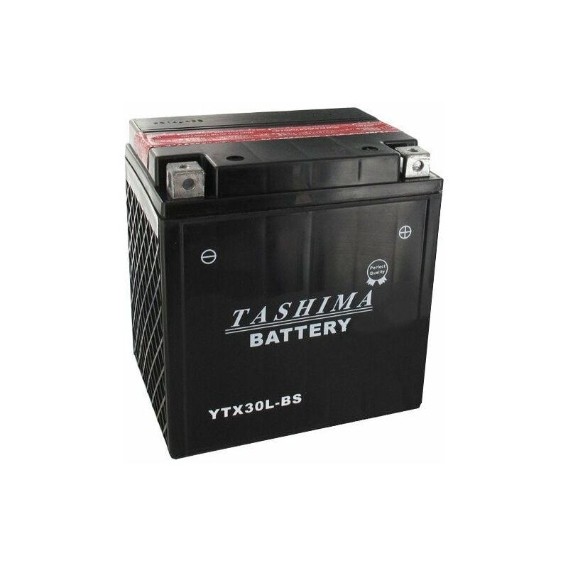 Batterie YTX30LBS + à droite