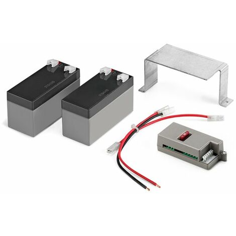 BAT-12R - Batteria di ricambio a 12V per CARTY CD4 