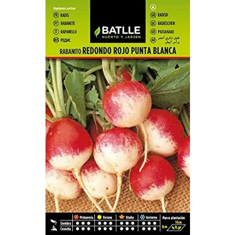 Battle - Semi Ortaggi Ravanello Rotondo Rosso Punta Bianca (1800 Semi)