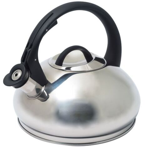 Baumalu Bouilloire à sifflet inox 3 litres design moderne