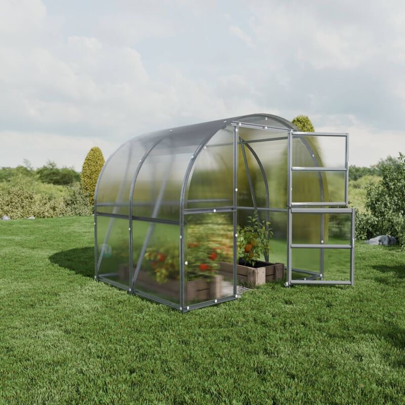 Meistro Kodas - Certifié Serre klasika baltic lt 3 x 2 m (6 m²), 6 mm avec revêtement en polycarbonate