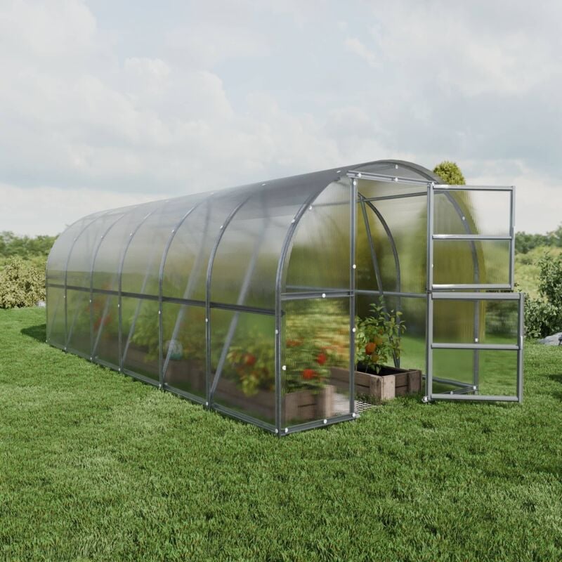 Meistro Kodas - Certifié Serre klasika baltic lt 3 x 6 m (18 m²), 6 mm avec revêtement en polycarbonate