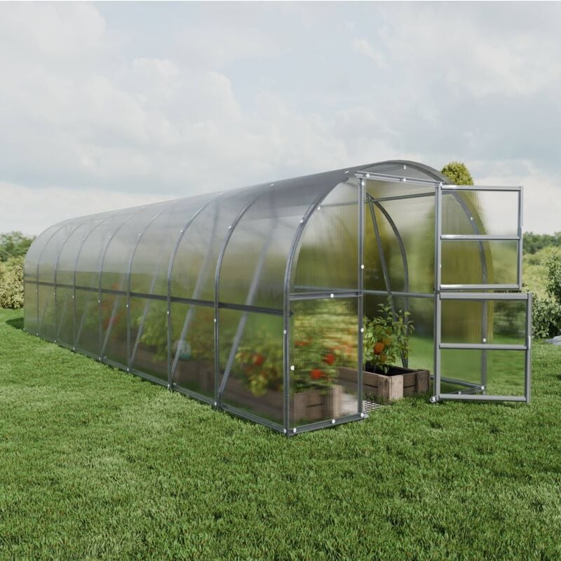 Meistro Kodas - Certifié Serre klasika baltic lt 3 x 8 m (24 m²), 6 mm avec revêtement en polycarbonate