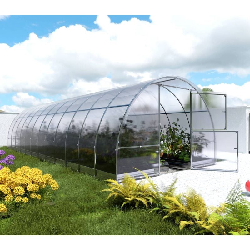 Meistro Kodas - Certifié Serre klasika easy 3 x 8 m (24 m²), 6 mm avec revêtement en polycarbonate
