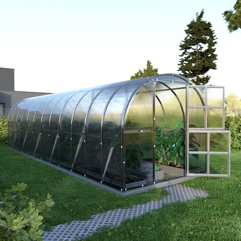 Meistro Kodas - Certifié Serre klasika arch 3 x 8 m (24 m²), 6 mm avec revêtement en polycarbonate