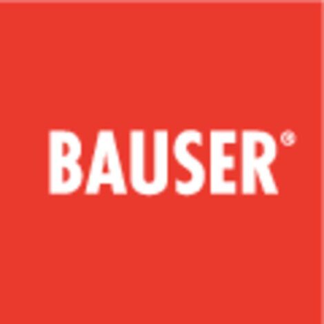 Bauser 3830/008.3.1.1.0.2-001 Contatore digitale - Tecnologia Twin tipo 3830 contatore di impulsi con contatore di impu
