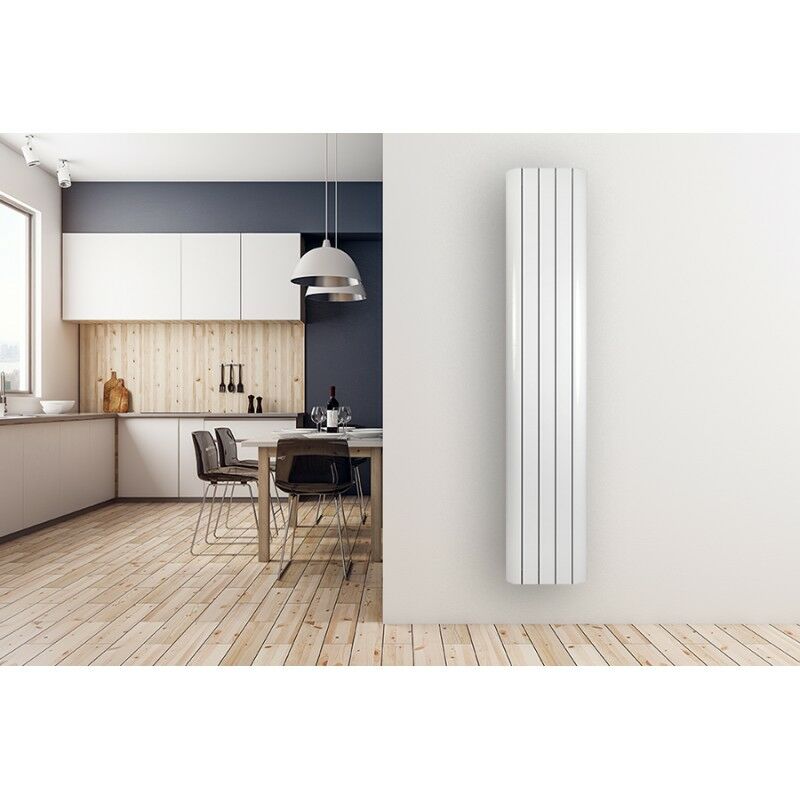 

Radiador de aluminio BAXI TV 1800 5 Elementos