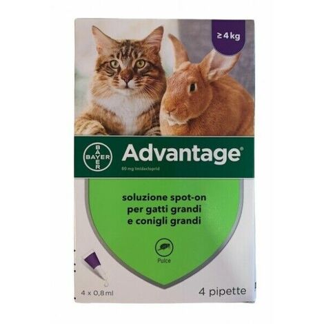 Bayer Advantage 80 4-8-12-16-20-pipette per gatti e conigli SCADENZA 2024